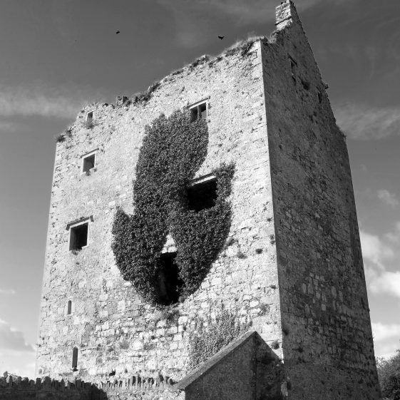 Clenage Tower House | John O'Brien